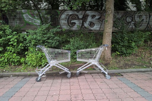 Zwei Gittertiere treffen sich am Rande eines Parkplatzes